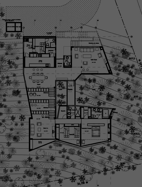 Unfold the house along the high slope of the plot, avoiding the volumetric presence in favor of a branched horizontal extension. Link the deformable molecular configuration of the glass with the geometric arrangement of the house.